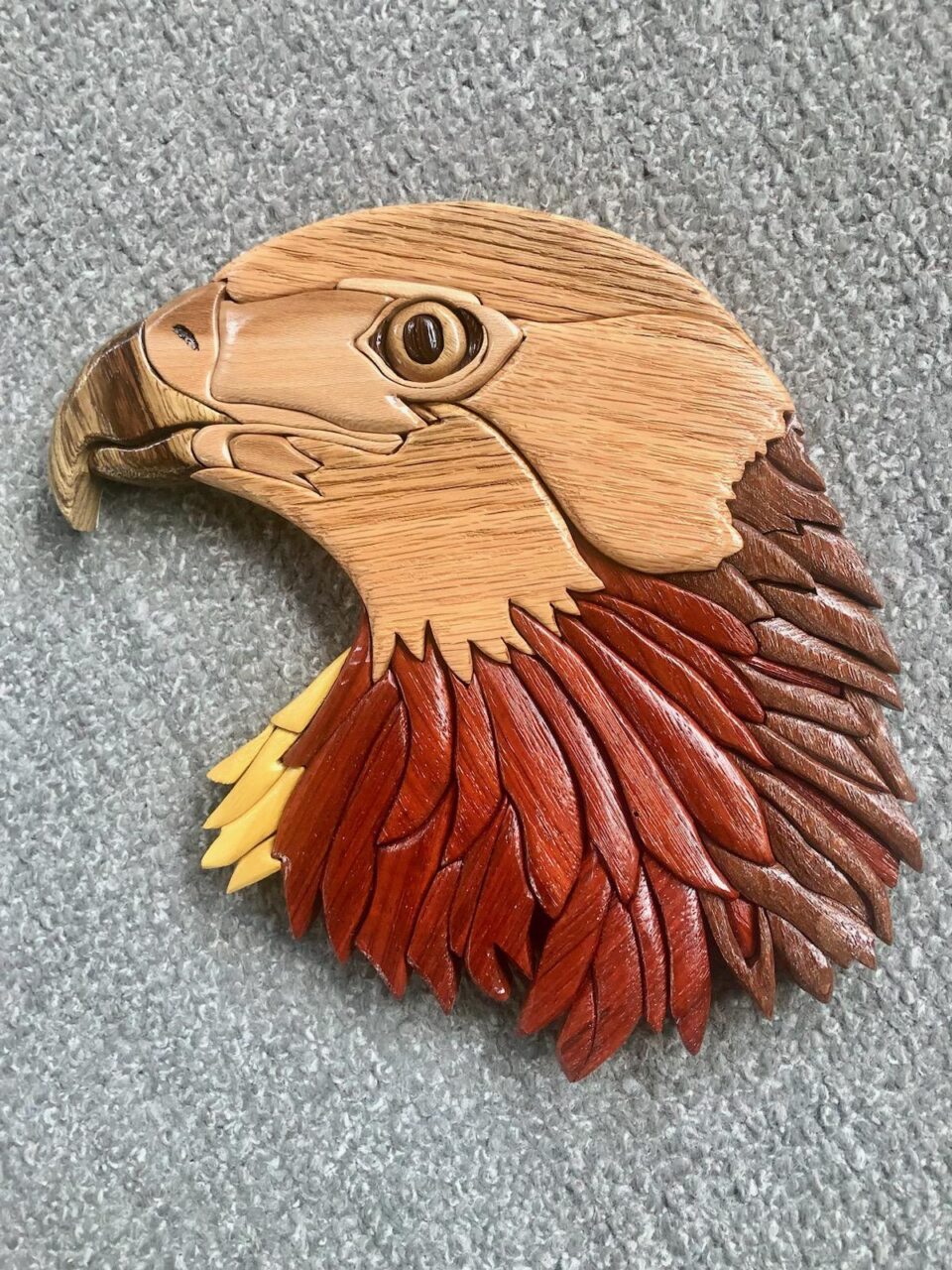 Hawk