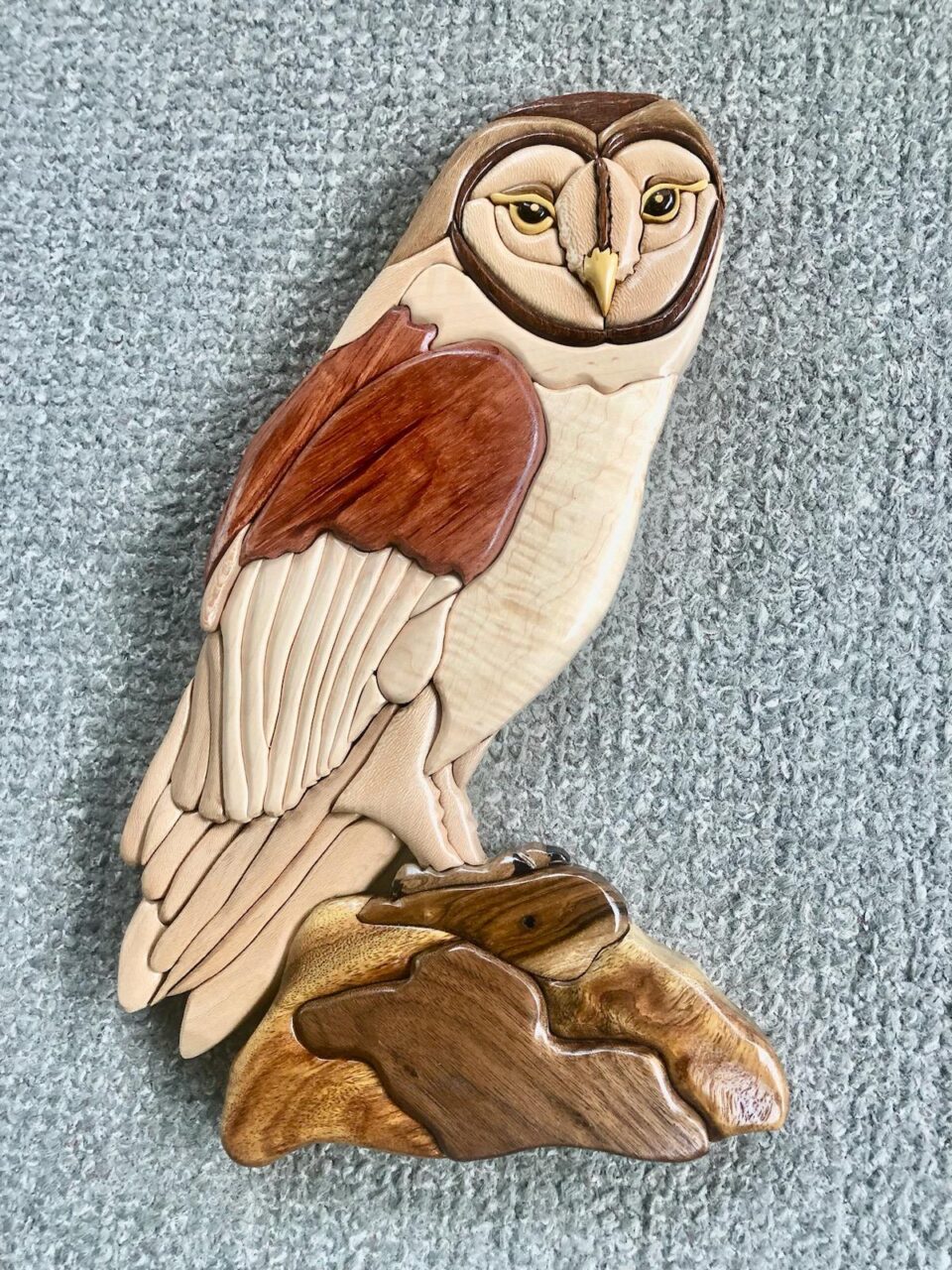 Owl